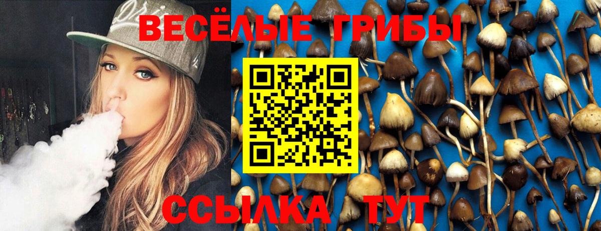 Острогожск  Псилоцибиновые грибы Psilocybe  Псилоцибиновые грибы Magic Shrooms  Вход с VPN 